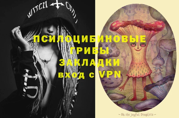 соль курить ск Алексеевка